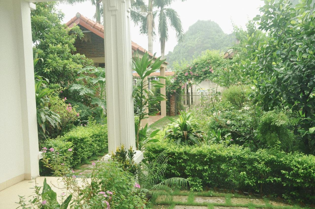 شقة Tam Coc Elegance House نينه بينه المظهر الخارجي الصورة